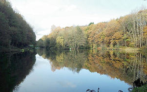 20191113-164556-largejpg.jpg