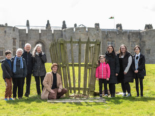 One of the world’s largest and oldest oak trees returns to Chirk 