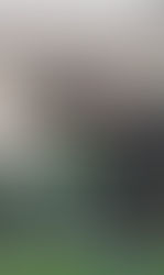 Alyssa Valdez Signs with Menlo College