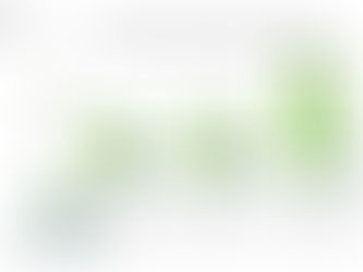 Electric Vehicle Sales Data – India