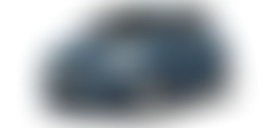 RIP – Ritz in Peace!