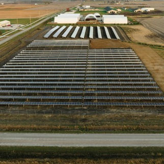 DCE Solar's Fixed-Tilt Racking Adjusts to a Field Full of Broccoli, Bees, and Research Questions