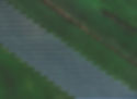 Solar Panels_edited_edited.jpg