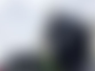 A FRENCH POINT VIEW OF LIVERPOOL