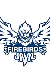 Phoenix_Mascot_Firebirds (3).jpg