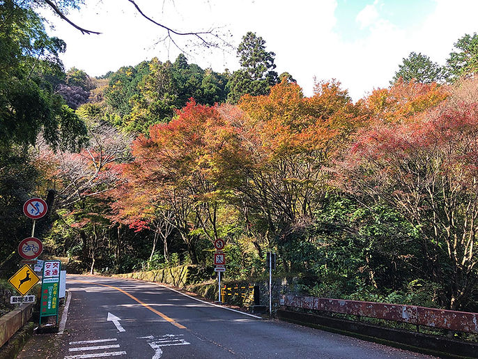 奥湯河原紅葉の風景