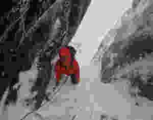 In Hidden Gully