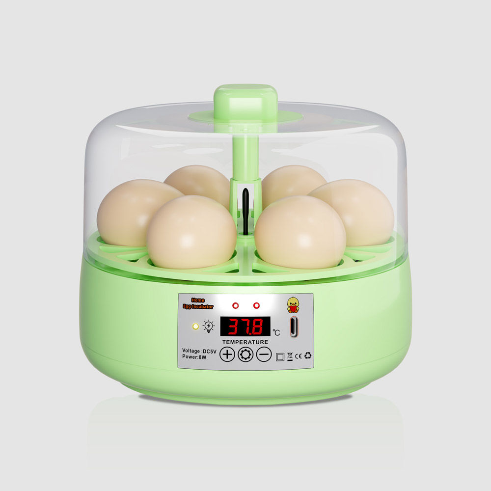 6-Egg Small Egg Incubator Green