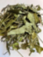 Green Plantain for Rabbits Forage