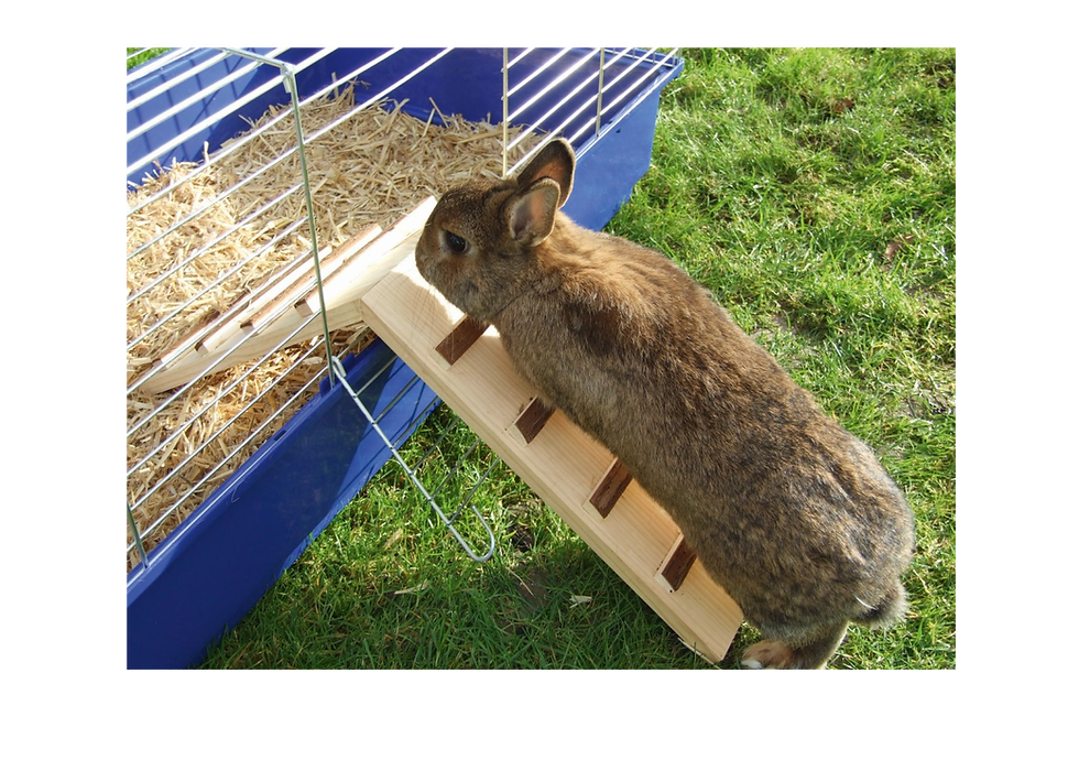 Thumbnail: Wooden Bridge