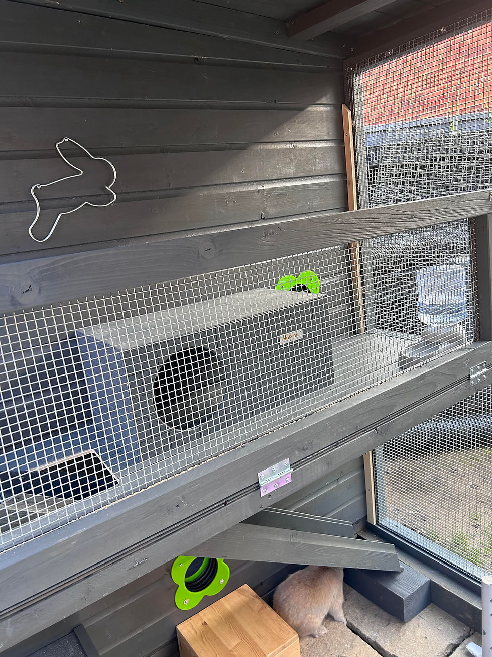 Outdoors rabbit enclosure