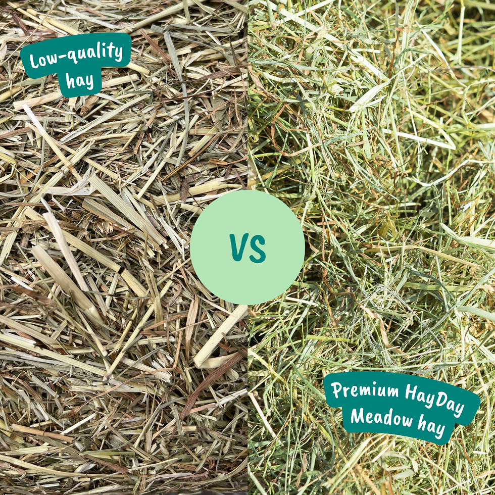 Thumbnail: HayDay Meadow Hay