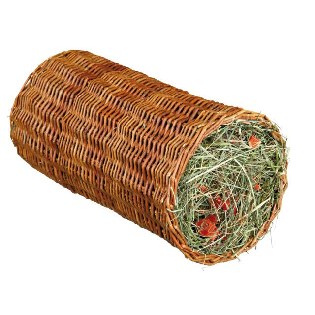 Willow Tunnel with Hay & Carrots