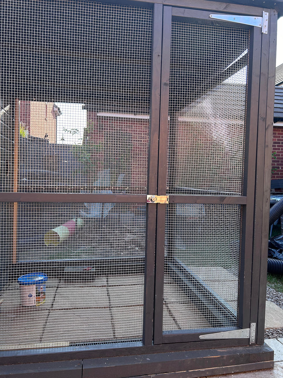 Rabbit outdoor enclosure