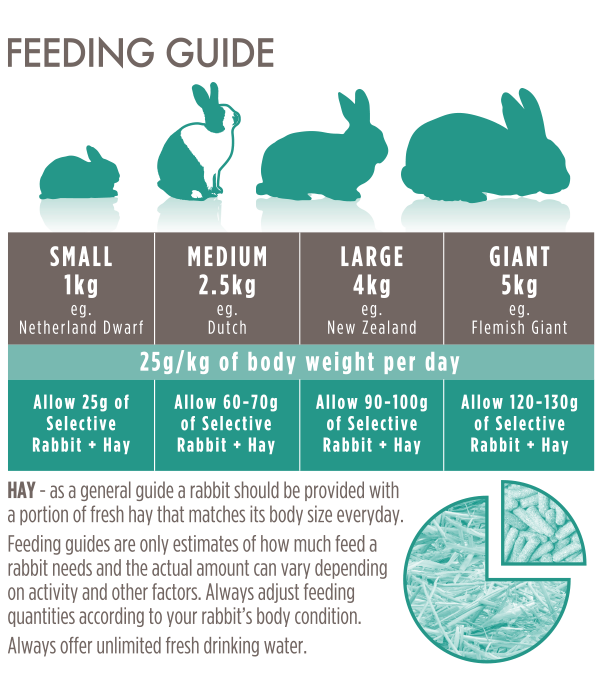 Thumbnail: Science Selective adult rabbit food info