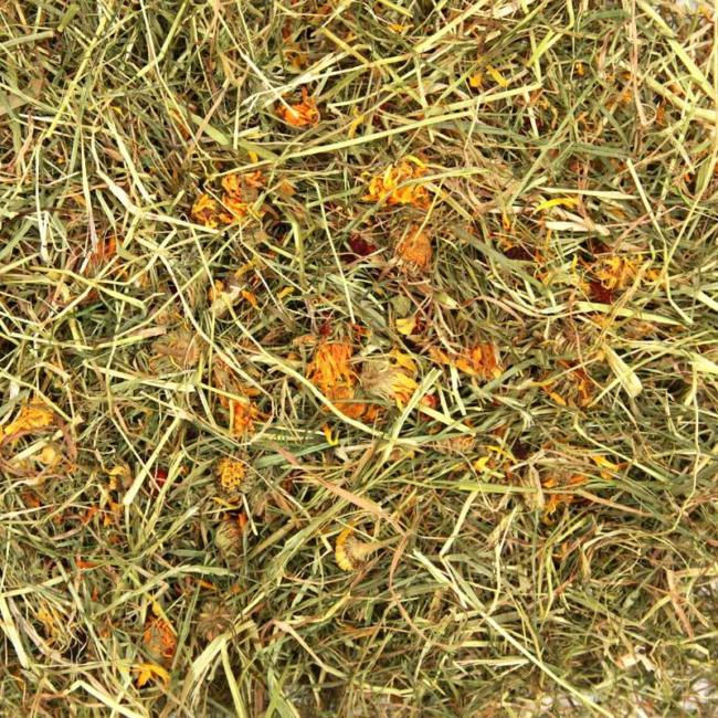 Thumbnail: Timothy Rich Hay 5 a Day