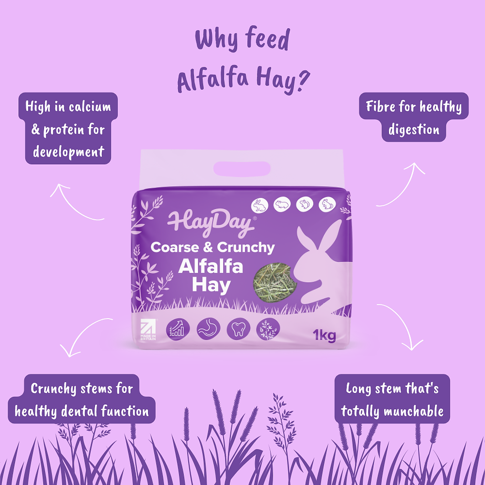 Thumbnail: HayDay Alfalfa Hay