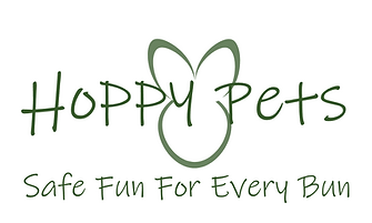 HP NEW LOGO DARK TAGLINE.png