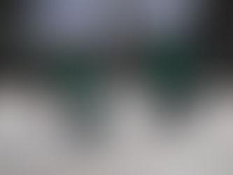 A CUSTOM PROJECT WALKTHROUGH: CHAMPION BOOST, LLC