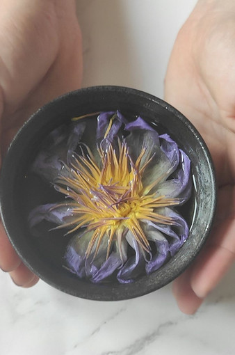 Infusion de lotus bleu.jpg