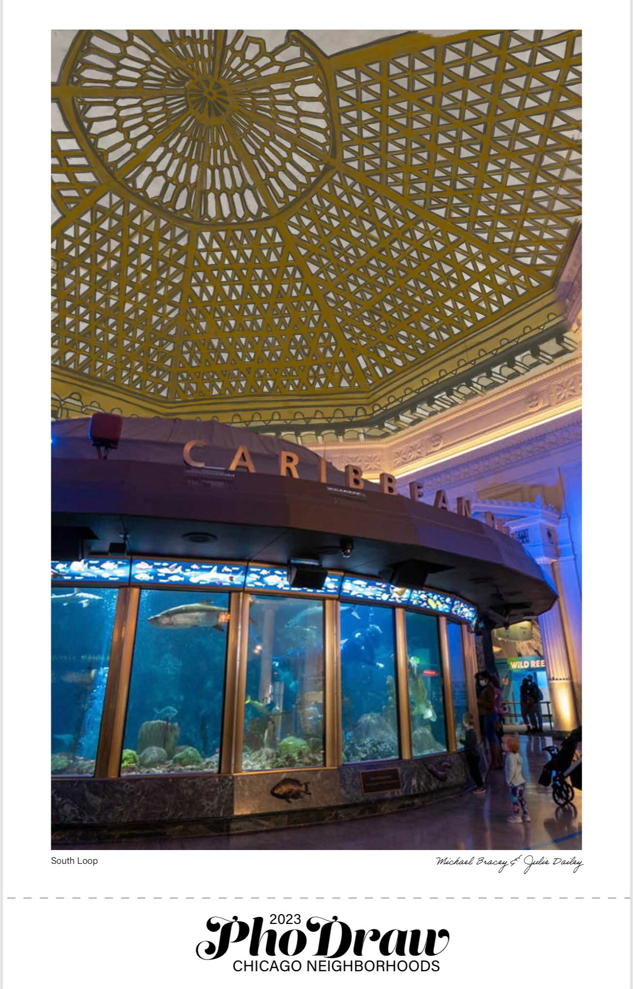 Shedd Aquarium Pho Draw Photo