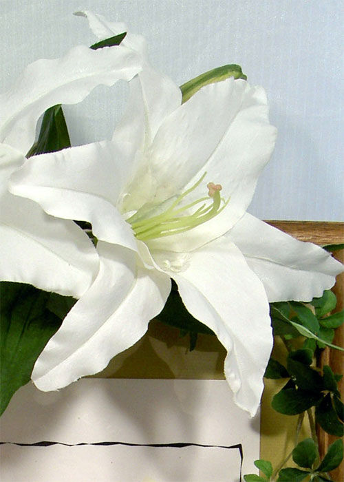 サムネイル： カサブランカのウェルカムボード装花