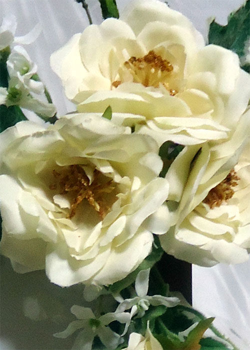 サムネイル： ホワイトローズのウェルカムボード装花