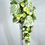 サムネイル： グリーンローズのキャスケードブーケ