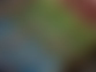 מגוון צבעי מונטנה גולד - Montana Gold Spray Paint בארגזים