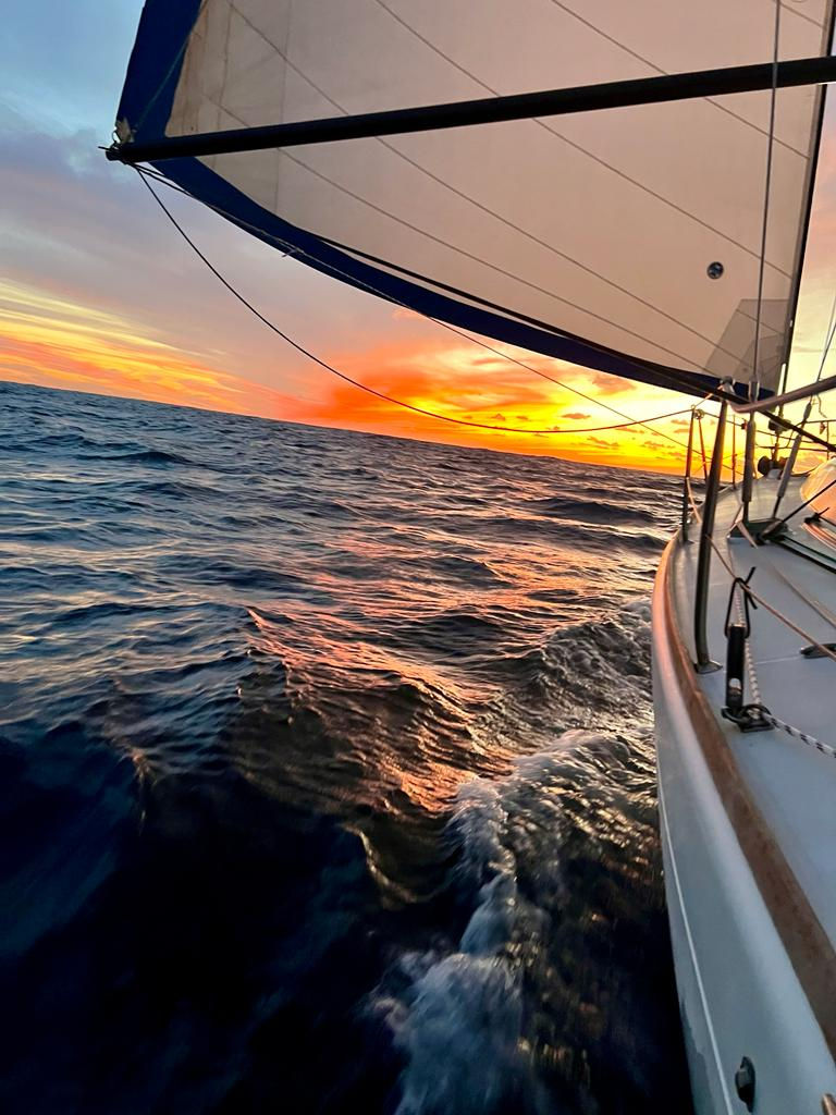 ausgebaumte genua segeln