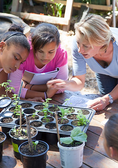 Gardening Lesson