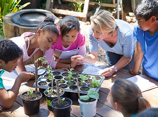 Gardening Lesson