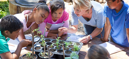 Gardening Lesson
