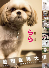 作家・莫邦富氏が伝える、いのちへのまなざし― 動物保護活動を通じた、国境を越える共感 ―