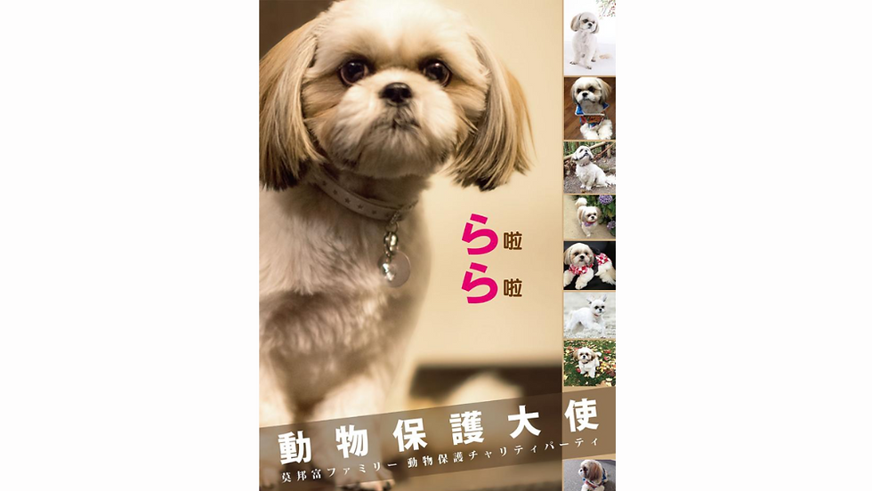 ― 動物保護活動を通じた、国境を越える共感 ―