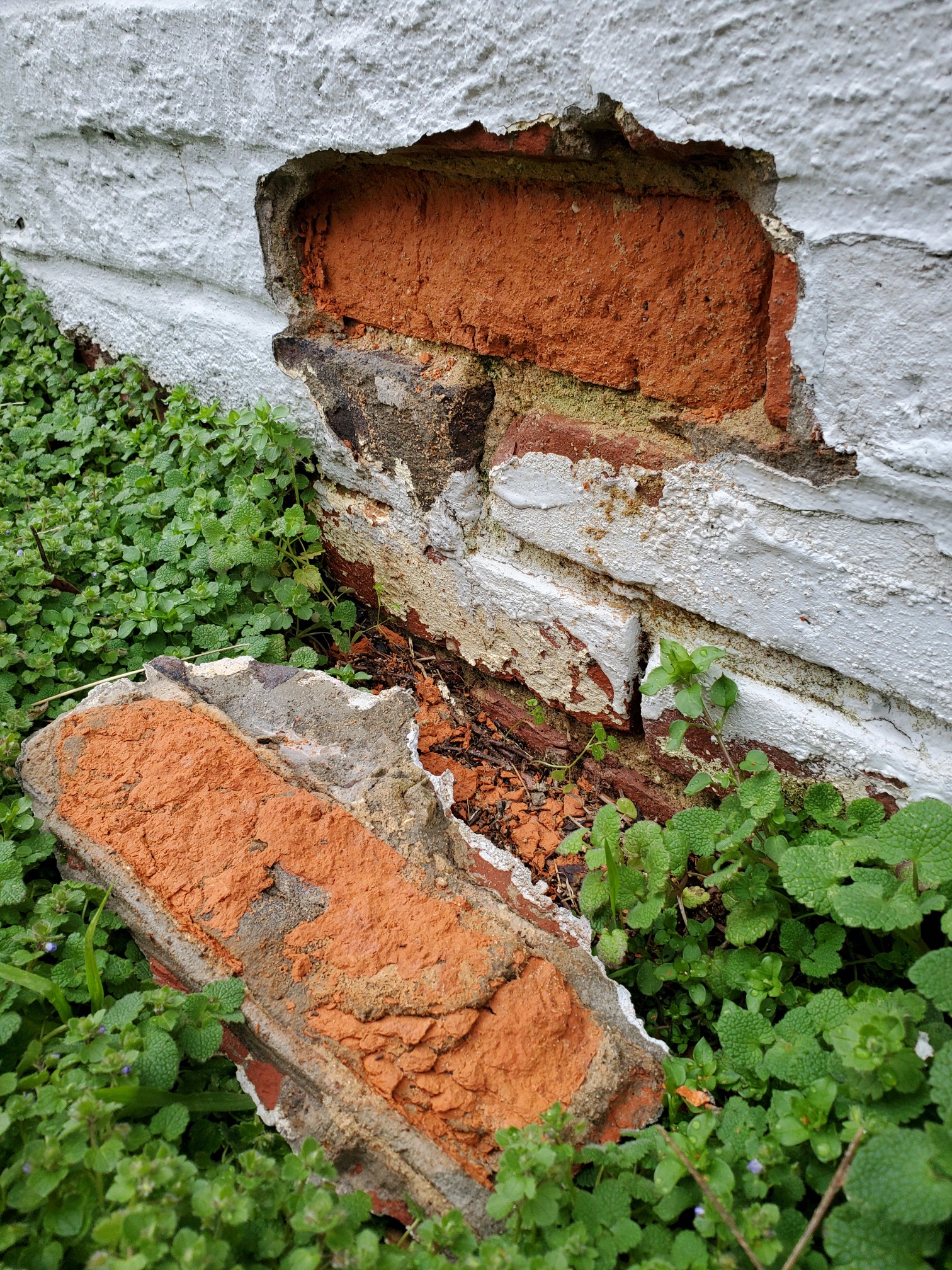 20200211_154349_copy_1512x2016