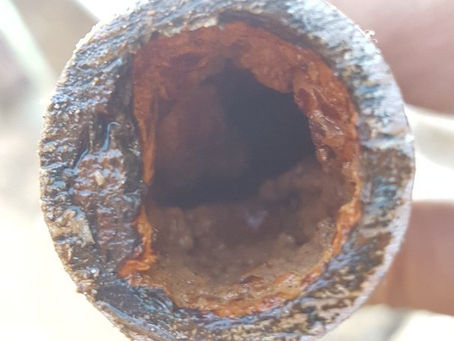 What’s in your pipes??