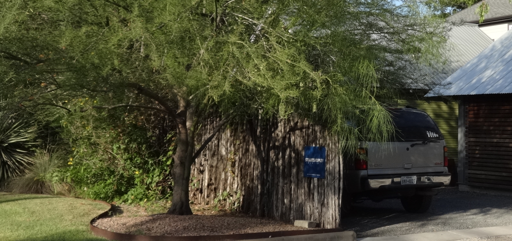 Vertical Thicket Style