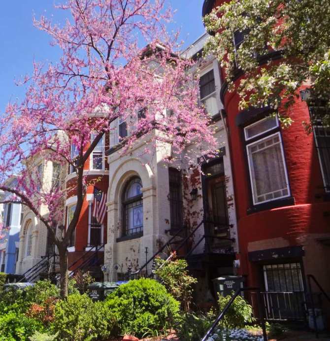 DSC09994 - Copy - Copy