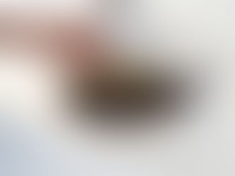 Pipe Penetration Boot Delamination in a TPO Roof