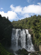 IMG_6829.jpg