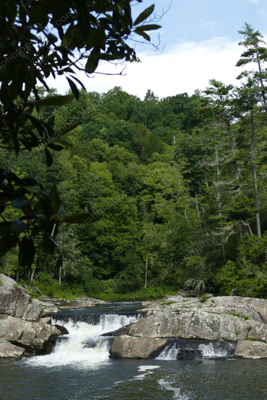 P1020447.jpg
