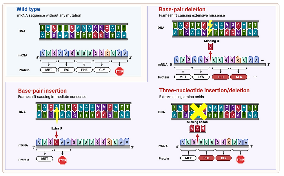 Rare Diseases Railroad Children