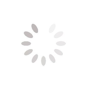 Spinner_1x-2.9s-200px-200px (2).gif