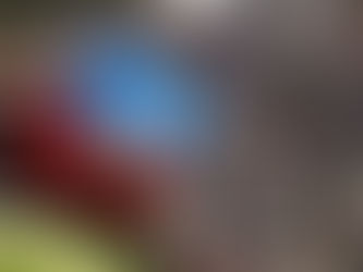 ONU solicita el envío de una fuerza militar a Haití