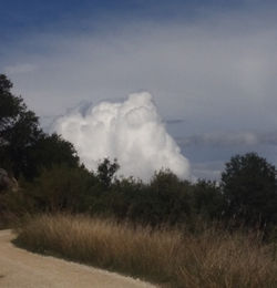 Vista desde uno de los caminos agrarios