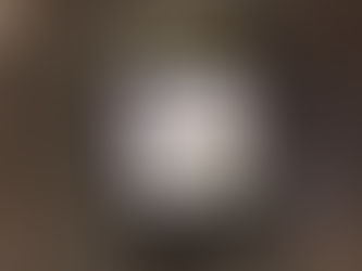 Zesty Blueberry Marmalade