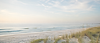 costline horizontal florida.png