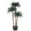 Thumbnail: Palm Tree, Assorted Sizes