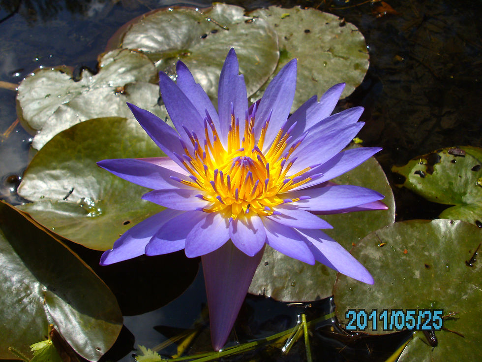 PICT0591.JPG